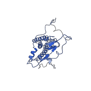 34717_8hfc_A_v1-0
Cryo-EM structure of yeast Erf2/Erf4 complex