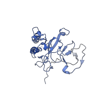 34717_8hfc_B_v1-0
Cryo-EM structure of yeast Erf2/Erf4 complex