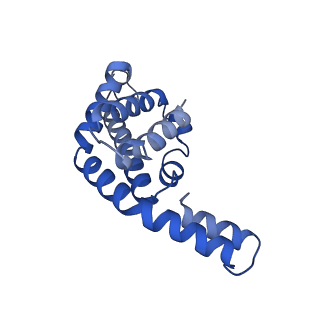 34724_8hfq_A_v1-0
Cryo-EM structure of CpcL-PBS from cyanobacterium Synechocystis sp. PCC 6803