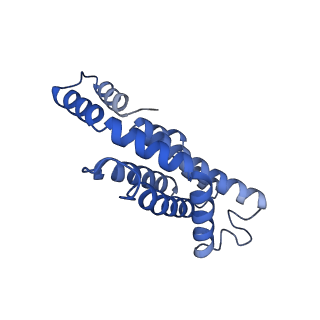 34724_8hfq_B_v1-0
Cryo-EM structure of CpcL-PBS from cyanobacterium Synechocystis sp. PCC 6803