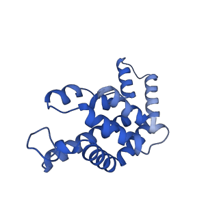 34724_8hfq_C_v1-0
Cryo-EM structure of CpcL-PBS from cyanobacterium Synechocystis sp. PCC 6803