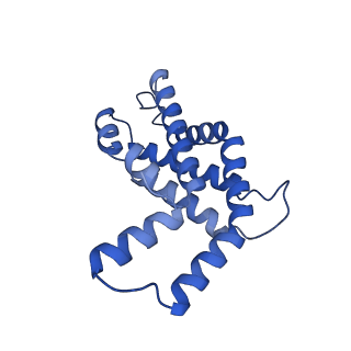 34724_8hfq_D_v1-0
Cryo-EM structure of CpcL-PBS from cyanobacterium Synechocystis sp. PCC 6803