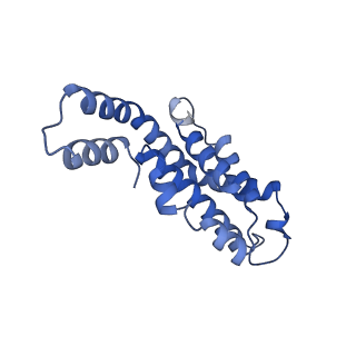 34724_8hfq_E_v1-0
Cryo-EM structure of CpcL-PBS from cyanobacterium Synechocystis sp. PCC 6803