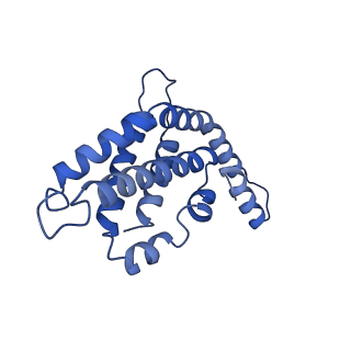 34724_8hfq_F_v1-0
Cryo-EM structure of CpcL-PBS from cyanobacterium Synechocystis sp. PCC 6803