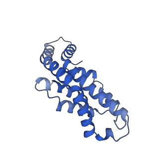 34724_8hfq_G_v1-0
Cryo-EM structure of CpcL-PBS from cyanobacterium Synechocystis sp. PCC 6803