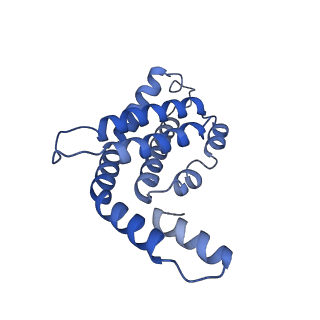 34724_8hfq_H_v1-0
Cryo-EM structure of CpcL-PBS from cyanobacterium Synechocystis sp. PCC 6803