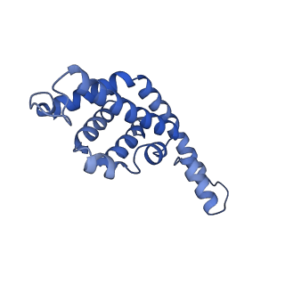 34724_8hfq_I_v1-0
Cryo-EM structure of CpcL-PBS from cyanobacterium Synechocystis sp. PCC 6803