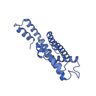 34724_8hfq_J_v1-0
Cryo-EM structure of CpcL-PBS from cyanobacterium Synechocystis sp. PCC 6803