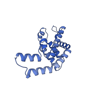 34724_8hfq_K_v1-0
Cryo-EM structure of CpcL-PBS from cyanobacterium Synechocystis sp. PCC 6803