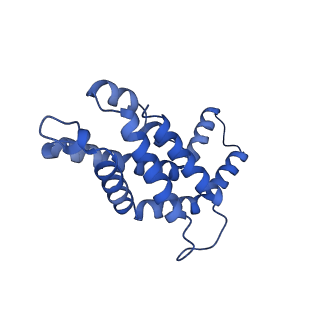 34724_8hfq_L_v1-0
Cryo-EM structure of CpcL-PBS from cyanobacterium Synechocystis sp. PCC 6803