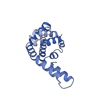 34724_8hfq_M_v1-0
Cryo-EM structure of CpcL-PBS from cyanobacterium Synechocystis sp. PCC 6803