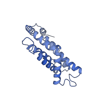 34724_8hfq_N_v1-0
Cryo-EM structure of CpcL-PBS from cyanobacterium Synechocystis sp. PCC 6803
