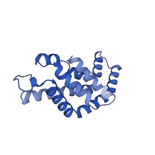 34724_8hfq_O_v1-0
Cryo-EM structure of CpcL-PBS from cyanobacterium Synechocystis sp. PCC 6803