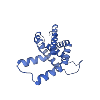 34724_8hfq_P_v1-0
Cryo-EM structure of CpcL-PBS from cyanobacterium Synechocystis sp. PCC 6803