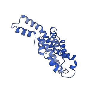 34724_8hfq_Q_v1-0
Cryo-EM structure of CpcL-PBS from cyanobacterium Synechocystis sp. PCC 6803
