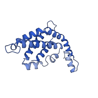 34724_8hfq_R_v1-0
Cryo-EM structure of CpcL-PBS from cyanobacterium Synechocystis sp. PCC 6803