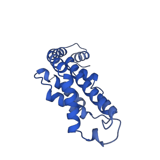 34724_8hfq_S_v1-0
Cryo-EM structure of CpcL-PBS from cyanobacterium Synechocystis sp. PCC 6803