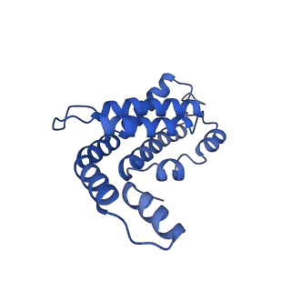 34724_8hfq_T_v1-0
Cryo-EM structure of CpcL-PBS from cyanobacterium Synechocystis sp. PCC 6803