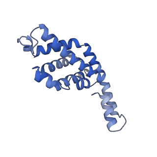 34724_8hfq_U_v1-0
Cryo-EM structure of CpcL-PBS from cyanobacterium Synechocystis sp. PCC 6803