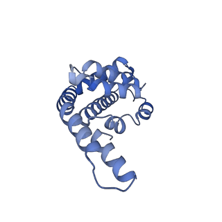 34724_8hfq_Y_v1-0
Cryo-EM structure of CpcL-PBS from cyanobacterium Synechocystis sp. PCC 6803