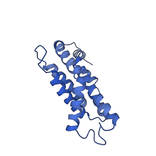 34724_8hfq_Z_v1-0
Cryo-EM structure of CpcL-PBS from cyanobacterium Synechocystis sp. PCC 6803