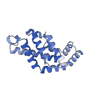 34724_8hfq_a_v1-0
Cryo-EM structure of CpcL-PBS from cyanobacterium Synechocystis sp. PCC 6803