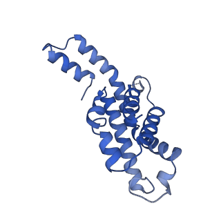 34724_8hfq_c_v1-0
Cryo-EM structure of CpcL-PBS from cyanobacterium Synechocystis sp. PCC 6803