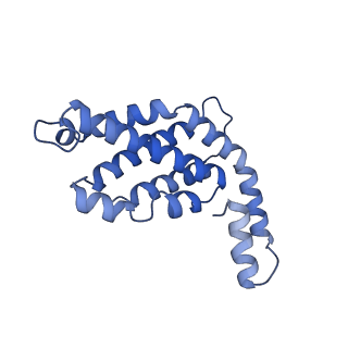 34724_8hfq_d_v1-0
Cryo-EM structure of CpcL-PBS from cyanobacterium Synechocystis sp. PCC 6803