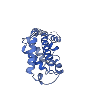 34724_8hfq_e_v1-0
Cryo-EM structure of CpcL-PBS from cyanobacterium Synechocystis sp. PCC 6803