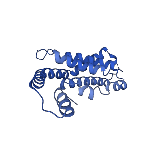 34724_8hfq_f_v1-0
Cryo-EM structure of CpcL-PBS from cyanobacterium Synechocystis sp. PCC 6803