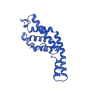 34724_8hfq_g_v1-0
Cryo-EM structure of CpcL-PBS from cyanobacterium Synechocystis sp. PCC 6803