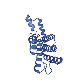 34724_8hfq_h_v1-0
Cryo-EM structure of CpcL-PBS from cyanobacterium Synechocystis sp. PCC 6803