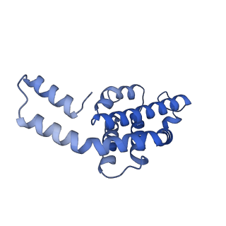 34724_8hfq_i_v1-0
Cryo-EM structure of CpcL-PBS from cyanobacterium Synechocystis sp. PCC 6803