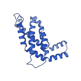 34724_8hfq_j_v1-0
Cryo-EM structure of CpcL-PBS from cyanobacterium Synechocystis sp. PCC 6803