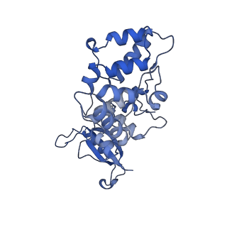 34724_8hfq_k_v1-0
Cryo-EM structure of CpcL-PBS from cyanobacterium Synechocystis sp. PCC 6803