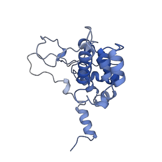 34724_8hfq_n_v1-0
Cryo-EM structure of CpcL-PBS from cyanobacterium Synechocystis sp. PCC 6803
