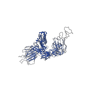 34727_8hfx_A_v1-1
Cryo-EM structure of SARS-CoV-2 Omicron BA.1 spike protein in complex with white-tailed deer ACE2