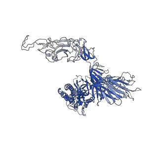 34727_8hfx_B_v1-1
Cryo-EM structure of SARS-CoV-2 Omicron BA.1 spike protein in complex with white-tailed deer ACE2