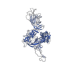 34727_8hfx_C_v1-1
Cryo-EM structure of SARS-CoV-2 Omicron BA.1 spike protein in complex with white-tailed deer ACE2