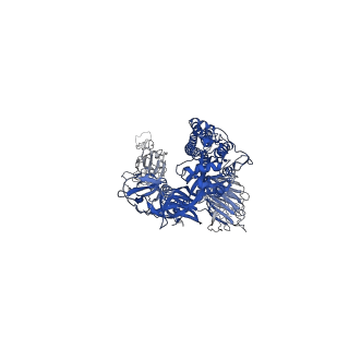 34729_8hfz_A_v1-1
Cryo-EM structure of SARS-CoV-2 prototype spike protein in complex with white-tailed deer ACE2