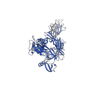34729_8hfz_C_v1-1
Cryo-EM structure of SARS-CoV-2 prototype spike protein in complex with white-tailed deer ACE2