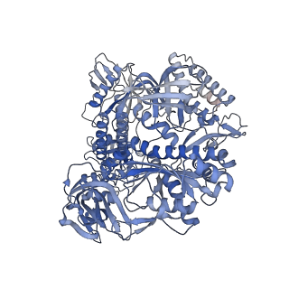 34731_8hg1_A_v1-2
The structure of MPXV polymerase holoenzyme in replicating state