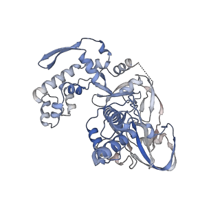 34731_8hg1_C_v1-2
The structure of MPXV polymerase holoenzyme in replicating state