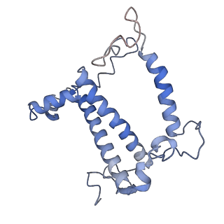 34733_8hg3_S_v1-0
Cryo-EM structure of the Lhcp complex from Ostreococcus tauri