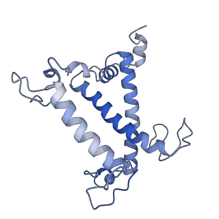 34733_8hg3_T_v1-0
Cryo-EM structure of the Lhcp complex from Ostreococcus tauri