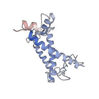34733_8hg3_U_v1-0
Cryo-EM structure of the Lhcp complex from Ostreococcus tauri