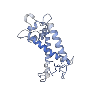 34735_8hg5_R_v1-0
Cryo-EM structure of the prasinophyte-specific light-harvesting complex (Lhcp)from Ostreococcus tauri