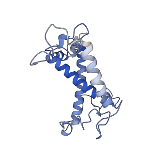 34736_8hg6_W_v1-0
Cryo-EM structure of the prasinophyte-specific light-harvesting complex (Lhcp)from Ostreococcus tauri