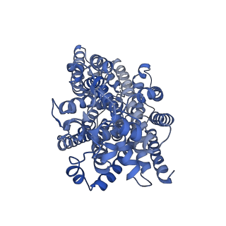 34737_8hg7_A_v1-3
Structure of human SGLT2-MAP17 complex with Sotagliflozin