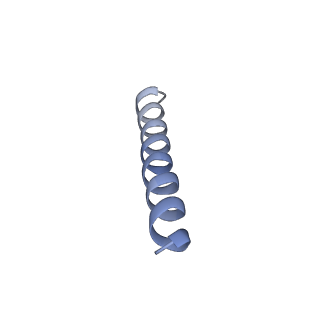 34737_8hg7_B_v1-3
Structure of human SGLT2-MAP17 complex with Sotagliflozin